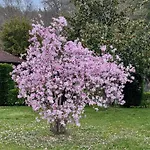 Le Ruisseau Appartamento Eugenie-les-Bains