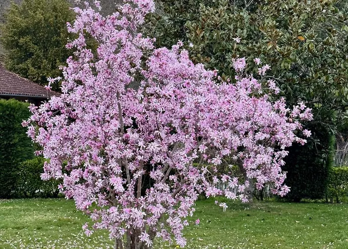Le Ruisseau Apartment Eugenie-les-Bains